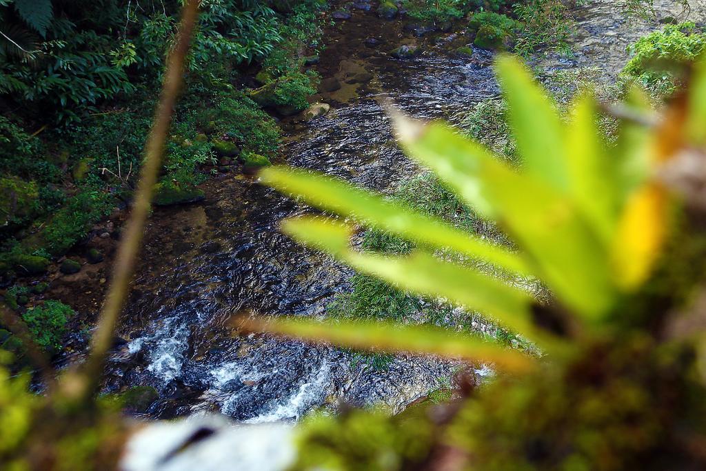 فندق Refugio Ecologico Amadamata نوفا فريبورغو المظهر الخارجي الصورة