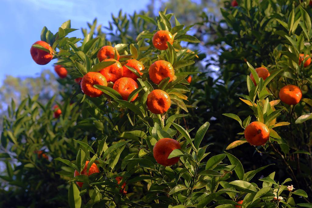 فندق Refugio Ecologico Amadamata نوفا فريبورغو المظهر الخارجي الصورة