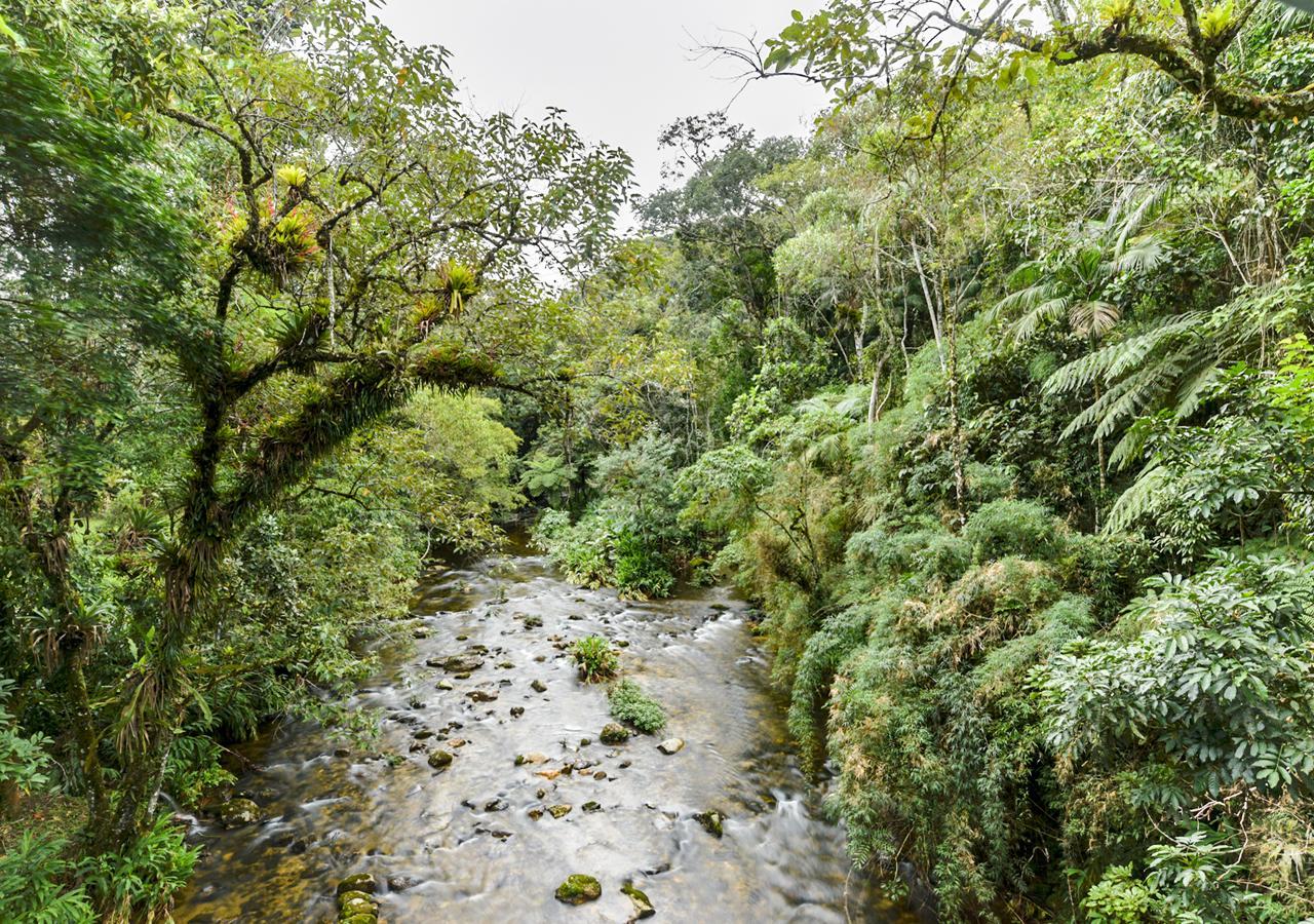 فندق Refugio Ecologico Amadamata نوفا فريبورغو المظهر الخارجي الصورة